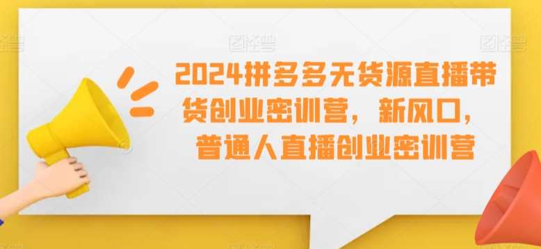 2024拼多多无货源直播带货创业密训营，新风口，普通人直播创业密训营-学习笔记资源库