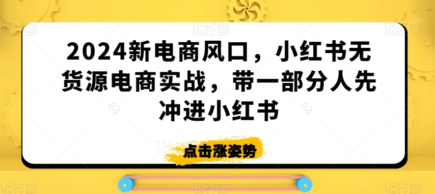 2024新电商风口，小红书无货源电商实战，带一部分人先冲进小红书-学习笔记资源库