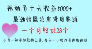 十天收益5000+，多平台捞金，视频号情感治愈漫剪，一个月收徒28个，小白一部手机轻松上手【揭秘】-学习笔记资源库
