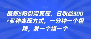 最新S粉引流变现,日收益300+多种变现方式,一分钟一个视频,发一个爆一个【揭秘】-学习笔记资源库