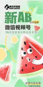 梅花实验室2024年AB技术视频号AB合成破解版-学习笔记资源库