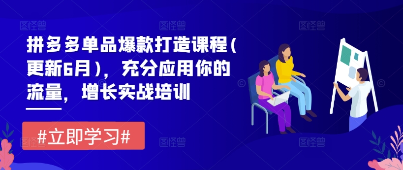 拼多多单品爆款打造课程(更新6月)，充分应用你的流量，增长实战培训-学习笔记资源库