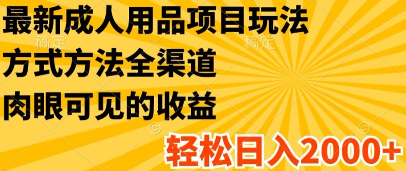 最新成人用品项目玩法，方式方法全渠道，轻松日入2K+【揭秘】-学习笔记资源库