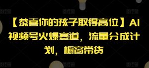 【恭喜你的孩子取得高位】AI视频号火爆赛道,流量分成计划,橱窗带货【揭秘】-学习笔记资源库