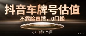 抖音车牌号估值,不露脸直播,0门槛,小白秒上手【揭秘】-学习笔记资源库
