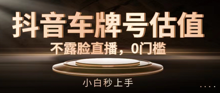 抖音车牌号估值，不露脸直播，0门槛，小白秒上手【揭秘】-学习笔记资源库