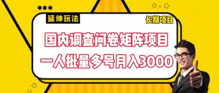 国内调查问卷矩阵项目，一人批量多号月入3000【揭秘】-学习笔记资源库