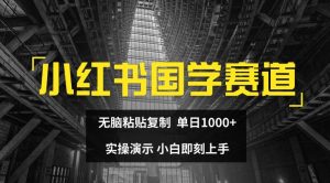 小红书国学赛道，无脑粘贴复制，单日1K，实操演示，小白即刻上手【揭秘】-学习笔记资源库
