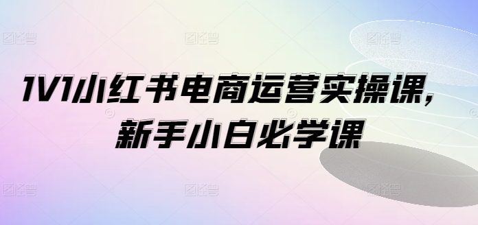 1V1小红书电商运营实操课，新手小白必学课-学习笔记资源库