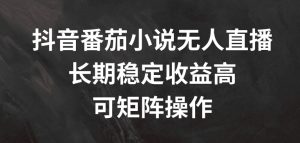 抖音番茄小说无人直播,长期稳定收益高,可矩阵操作【揭秘】-学习笔记资源库