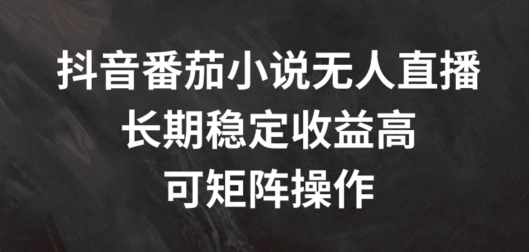 抖音番茄小说无人直播，长期稳定收益高，可矩阵操作【揭秘】-学习笔记资源库
