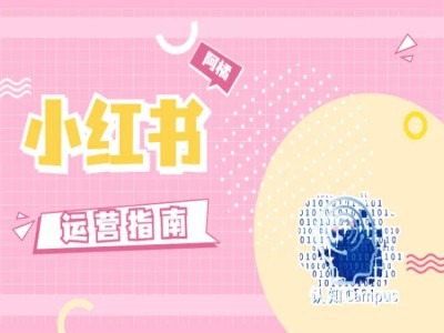 小红书运营指南，没有套路，全是经验-学习笔记资源库