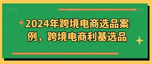 2024年跨境电商选品案例，跨境电商利基选品（更新）-学习笔记资源库