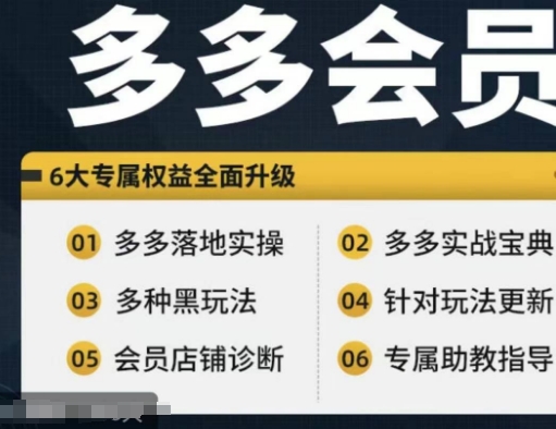 拼多多会员，拼多多实战宝典+实战落地实操，从新手到高阶内容全面覆盖-学习笔记资源库