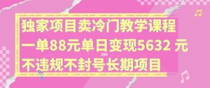 独家项目卖冷门教学课程一单88元单日变现5632元违规不封号长期项目【揭秘】-学习笔记资源库