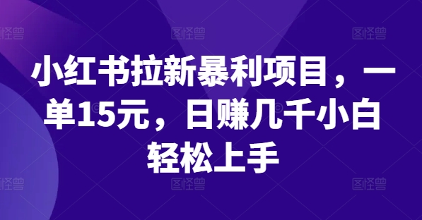 小红书拉新暴利项目，一单15元，日赚几千小白轻松上手【揭秘】-学习笔记资源库