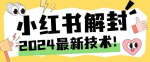 2024最新小红书账号封禁解封方法，无限释放手机号【揭秘】-学习笔记资源库