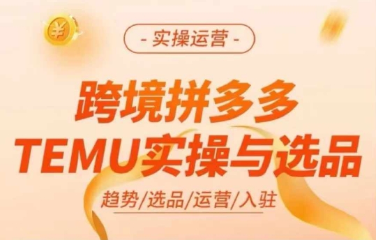 跨境拼多多TEMU实操与选品，多多temu跨境选品运营实操-学习笔记资源库