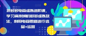 拼多多电商虚拟进阶课,学习高利润的多多虚拟玩法,利用电商思维进行选品+运营-学习笔记资源库