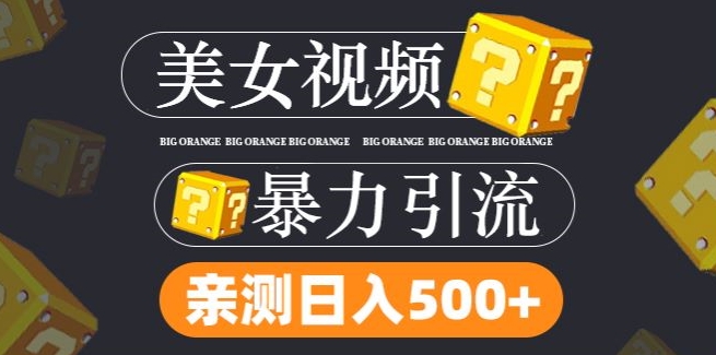 搬运tk美女视频全网分发，日引s粉300+，轻松变现，不限流量不封号【揭秘】-学习笔记资源库