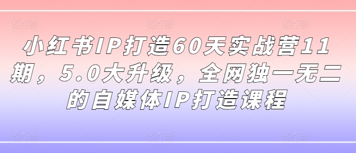 小红书IP打造60天实战营11期，5.0大升级，全网独一无二的自媒体IP打造课程-学习笔记资源库