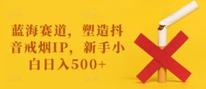 蓝海赛道，塑造抖音戒烟IP，新手小白日入500+【揭秘】-学习笔记资源库