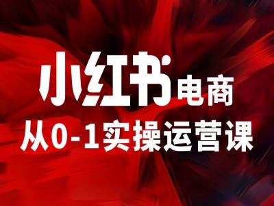 小红书电商从0-1实操运营课，让你从小白到精英-学习笔记资源库