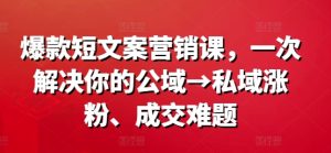 爆款短文案营销课，一次解决你的公域→私域涨粉、成交难题-学习笔记资源库