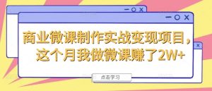 商业微课制作实战变现项目,这个月我做微课赚了2W+-学习笔记资源库