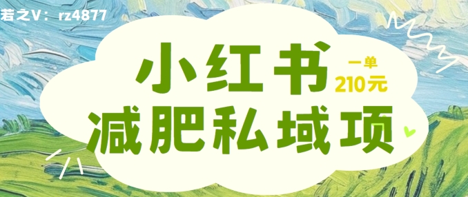 小红书减肥粉，私域变现项目，一单就达210元，小白也能轻松上手【揭秘】-学习笔记资源库