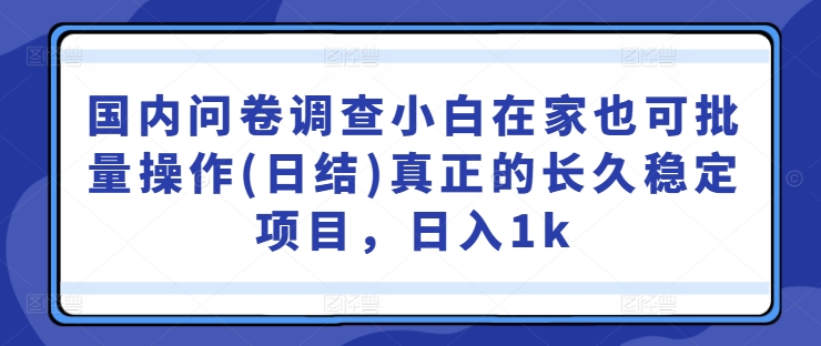 国内问卷调查小白在家也可批量操作(日结)真正的长久稳定项目，日入1k【揭秘】-学习笔记资源库