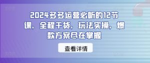 2024多多运营必听的12节课,全程干货,玩法实操,爆款方案尽在掌握-学习笔记资源库