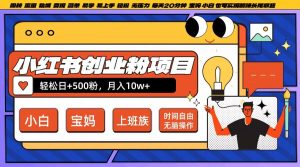 小红书创业粉项目日+500粉，每天20分钟躺赚长尾收益，无脑操作，宝妈，小白抓紧冲【揭秘】-学习笔记资源库