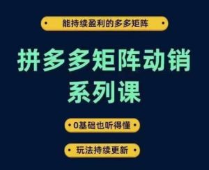 拼多多矩阵动销系列课，能持续盈利的多多矩阵，0基础也听得懂，玩法持续更新-学习笔记资源库