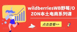 wildberriesWB野莓/OZON本土电商系列课,掌握WB产品优化,出单技巧和订单处理等-学习笔记资源库