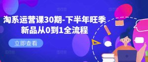 淘系运营课30期-下半年旺季新品从0到1全流程-学习笔记资源库