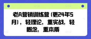 老A营销训练营(更24年9月),轻理论,重实战,轻概念,重本质-学习笔记资源库
