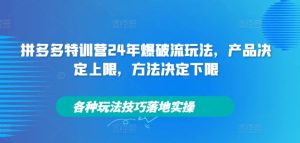拼多多特训营24年爆破流玩法，产品决定上限，方法决定下限，各种玩法技巧落地实操-学习笔记资源库