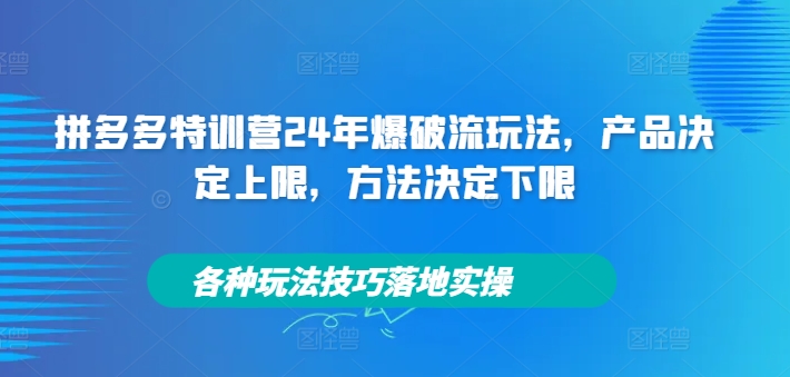 拼多多特训营24年爆破流玩法，产品决定上限，方法决定下限，各种玩法技巧落地实操-学习笔记资源库