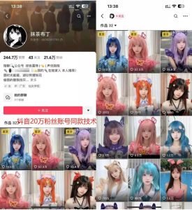 云天二次元美女起号教学，月涨10万粉丝，不判搬运-学习笔记资源库