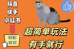 超简单玩法,有手就行,靠猫咪视频日入500+【揭秘】-学习笔记资源库