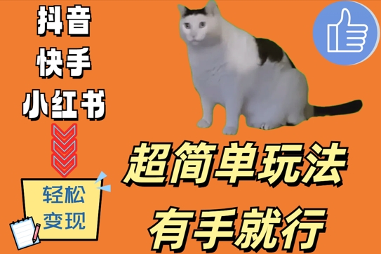 超简单玩法，有手就行，靠猫咪视频日入500+【揭秘】-学习笔记资源库
