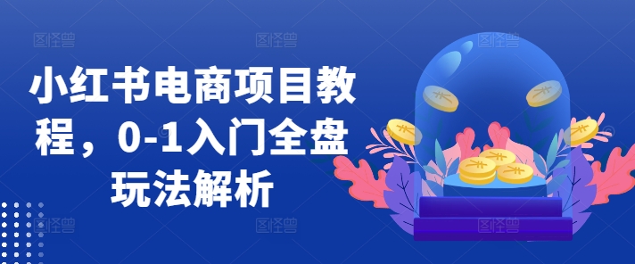 小红书电商项目教程，0-1入门全盘玩法解析-学习笔记资源库