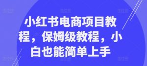 小红书电商项目教程，保姆级教程，小白也能简单上手-学习笔记资源库