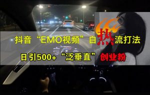 抖音EMO视频自热打法,日引500+“泛垂直”创业粉-学习笔记资源库