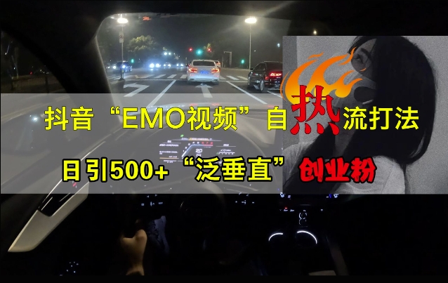 抖音EMO视频自热打法，日引500+“泛垂直”创业粉-学习笔记资源库