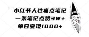 小红书人性痛点笔记,一条笔记点赞3W+,单日变现1k-学习笔记资源库