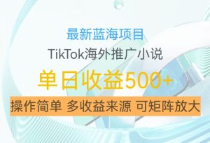 最新蓝海项目,利用tiktok海外推广小说赚钱佣金,简单易学,日入500+,可矩阵放大【揭秘】-学习笔记资源库