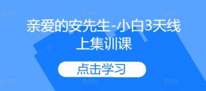 亲爱的安先生-小白3天线上集训课-学习笔记资源库