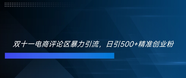 双十一电商评论区暴力引流，日引500+精准创业粉【揭秘】-学习笔记资源库